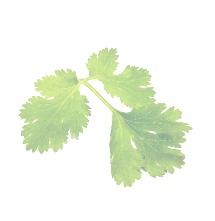 Gospodarstwo Rybackie „Biała Nida”