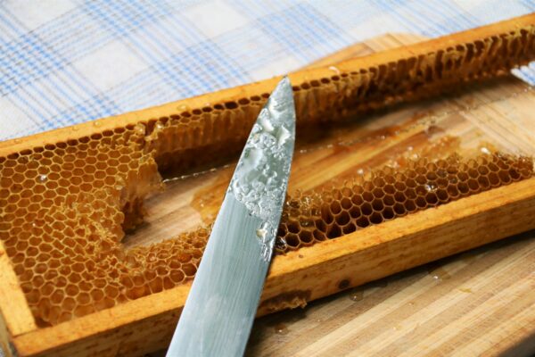 Ciepły miód prosto z plastra