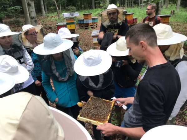 Wyglądamy w pszczelarskich kapeluszach jak grzyby. Tylko Mateusz jest "sauté" :)